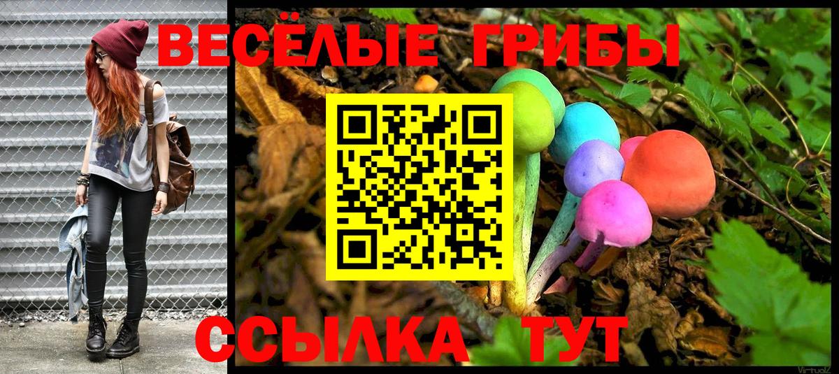 Галлюциногенные грибы мицелий Ступино